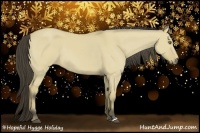 Horse Color:Buckskin Dun