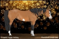 Horse Color:Bay Splash Frame