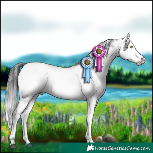 Horse Color:Brown Sabino 