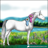 Horse Color:Brown Sabino 