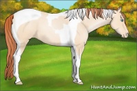 Horse Color:Sable Cream Champagne Pearl Tobiano Varnish