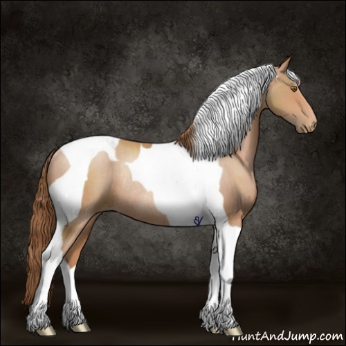 Horse Color:Brown Pearl Tobiano Rabicano