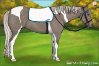 Horse Color:Silver Black Tobiano