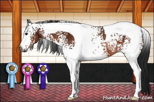 Horse Color:Gray White Spotted Brown Tobiano Rabicano