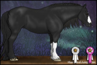 Horse Color:Gray Black 