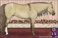 Horse Color:Chocolate Palomino Dun Rabicano 