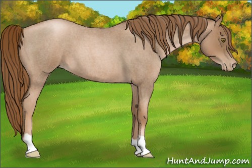 Horse Color:Liver Red Roan Pearl 