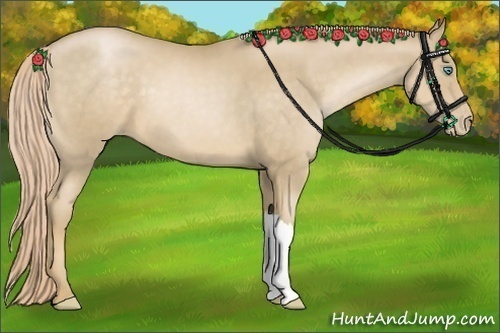 Horse Color:Chocolate Palomino Pearl