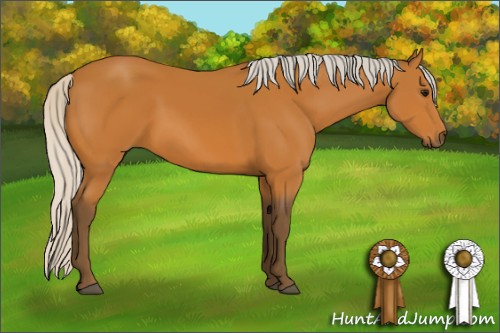 Horse Color:Silver Bay 