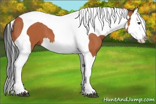 Horse Color:Bay Splash Tobiano 