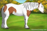 Horse Color:Bay Splash Tobiano
