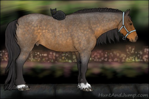 Horse Color:Buckskin Roan 