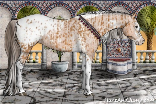 Horse Color:Bay Splash Tobiano Blanket  and Bay Splash Tobiano Blanket 