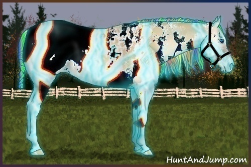 Horse Color:Painted Thunderstruck White Spotted Red Onyx Splash Appaloosa