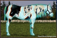 Horse Color:Painted Thunderstruck White Spotted Red Onyx Splash Snowcap 