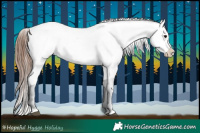 Horse Color:Brown Dun Appaloosa 