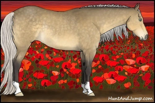 Horse Color:Silver Buckskin Rabicano 