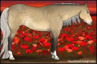 Horse Color:Silver Buckskin Rabicano