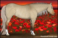Horse Color:Silver Buckskin Dun Rabicano