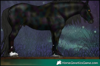 Horse Color:Gray Midnight Black 