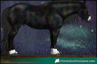 Horse Color:Gray Midnight Black