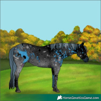 Horse Color:ERROR: UNKNOWN ANOMALY and ERROR: UNKNOWN ANOMALY