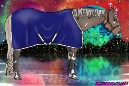 Horse Color:White Spotted Silver Black Rabicano 