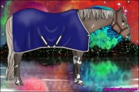 Horse Color:White Spotted Silver Black Rabicano 