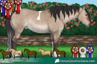 Horse Color:Brown Dun Tobiano Rabicano