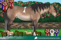 Horse Color:Brown Dun Tobiano Rabicano