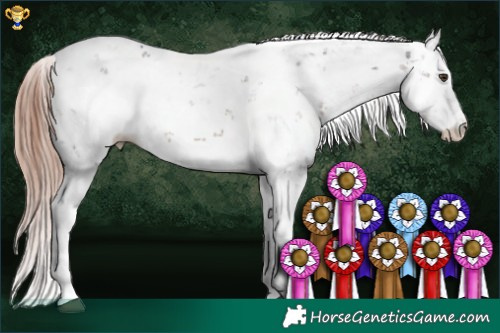 Horse Color:Liver Chestnut Sabino 