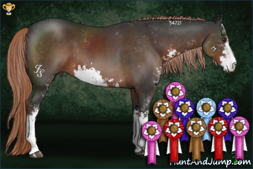 Horse Color:Liver Chestnut Sabino 