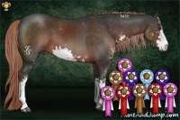Horse Color:Liver Chestnut Sabino