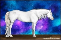 Horse Color:Gold Champagne Snowcap 