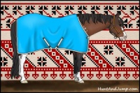 Horse Color:Bay Sabino