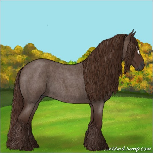 Horse Color:Gray Red Roan 