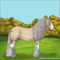 Horse Color:Silver Bay Roan Dun Splash 