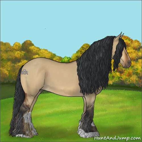 Horse Color:Bay Dun