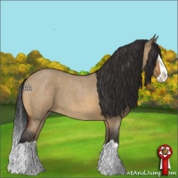 Horse Color:Bay Roan Dun Splash 