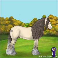 Horse Color:Amber Cream Champagne Dun Splash