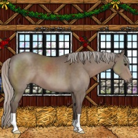 Horse Color:Silver Black 