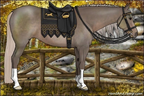 Horse Color:Silver Black