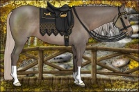 Horse Color:Silver Black 