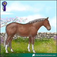 Horse Color:Silver Black 