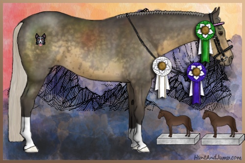 Horse Color:Silver Smoky Black 