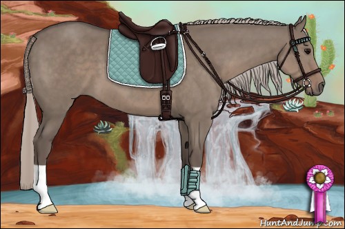 Horse Color:Silver Grullo 
