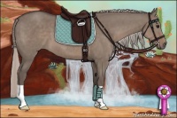 Horse Color:Silver Grullo 