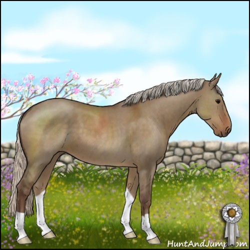 Horse Color:Silver Grullo 