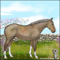 Horse Color:Silver Grullo 