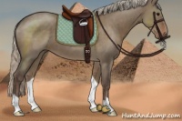 Horse Color:Silver Grullo Roan 